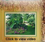 Click to view video